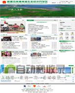 新疆网站建设：助力本地企业在互联网时代脱颖而出，实现线上业务增长