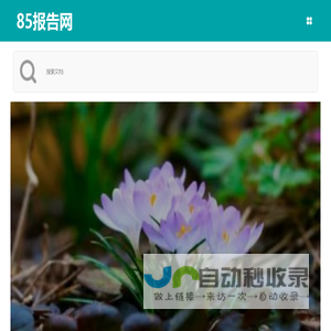 述职报告_调研报告_自查报告_工作报告_实践报告-85报告网